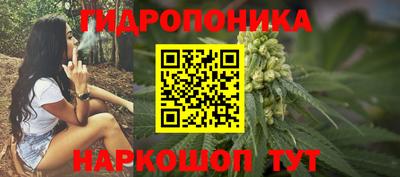 скорость Будённовск