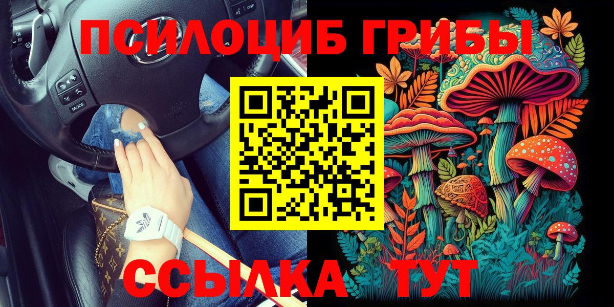 Псилоцибиновые грибы мицелий  Вход с VPN  Малгобек 