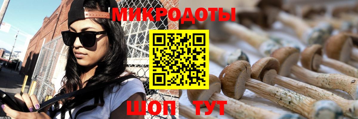 Псилоцибиновые грибы мицелий Малгобек